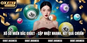 Xổ số miền bắc